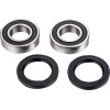 Set rulmenți pentru ax RR ATV FACTORY LINKS ARA-F-001