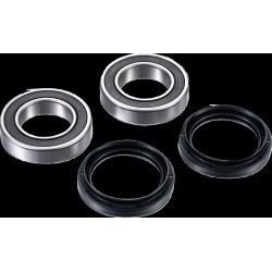Set rulmenți pentru ax RR ATV FACTORY LINKS ARA-Y-025 Set rulmenți pentru ax RR ATV FACTORY LINKS ARA-Y-025