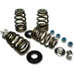Set de arcuri supape high load beehive FEULING PARTS 1205 Set de arcuri supape high load beehive FEULING PARTS 1205 thumb