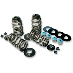 Set de arcuri pentru supape Econo Beehive FEULING PARTS 1120