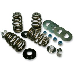 Set arcuri supape high load beehive screamin eagle FEULING PARTS 1201 Set arcuri supape high load beehive screamin eagle FEULING PARTS 1201