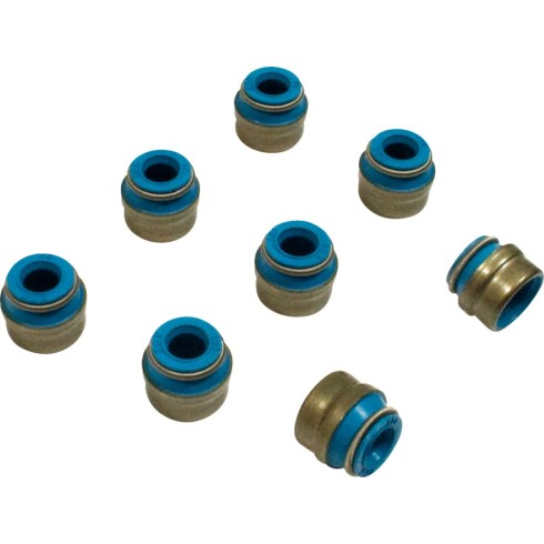 Garnituri de supape Viton 6 mm V-ROD FEULING PARTS 1079