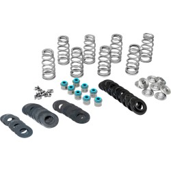 Arcuri supapă HIGH M8 17+ FEULING PARTS 1207