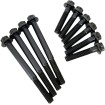 Set de elemente de fixare pentru pompă de ulei și camplate pentru MILWAUKEE 8 FEULING PARTS 8022 Set de elemente de fixare pentru pompă de ulei și camplate pentru MILWAUKEE 8 FEULING PARTS 8022 thumb
