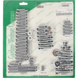 Set de șuruburi pentru motor oțel neted înlocuire personalizată crom natural ALTELE P-96-76