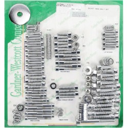 Set de șuruburi pentru motor oțel neted înlocuire personalizată crom natural ALTELE P-88-98 Set de șuruburi pentru motor oțel neted înlocuire personalizată crom natural ALTELE P-88-98