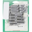 Set de șuruburi pentru capac primar din oțel cromat natural ALTELE P-10-24-08N Set de șuruburi pentru capac primar din oțel cromat natural ALTELE P-10-24-08N thumb