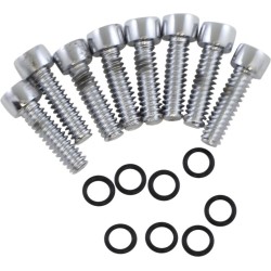 Set șuruburi custom replacement chrome natural ALTELE P-61-13 Set șuruburi custom replacement chrome natural ALTELE P-61-13