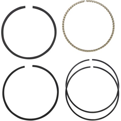 Segmenti 883 STD 04+ HASTINGS WG1254795|2M5069