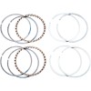 Set de segmenți de rezervă pentru piston pentru motor în patru timpi HASTINGS WG1010292|6482