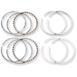 Set de segmenți de rezervă pentru piston pentru motor în patru timpi HASTINGS WG1010326|2M6164020 Set de segmenți de rezervă pentru piston pentru motor în patru timpi HASTINGS WG1010326|2M6164020