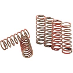 Set de arcuri de ambreiaj hi-temp 6-set YAMAHA HINSON RACING CS216-6-0315 Set de arcuri de ambreiaj hi-temp 6-set YAMAHA HINSON RACING CS216-6-0315