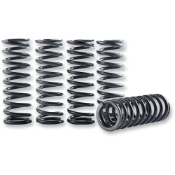 Set arcuri ambreiaj hi-temp 5-set KAWASAKI HINSON RACING CS264-5-0409 Set arcuri ambreiaj hi-temp 5-set KAWASAKI HINSON RACING CS264-5-0409