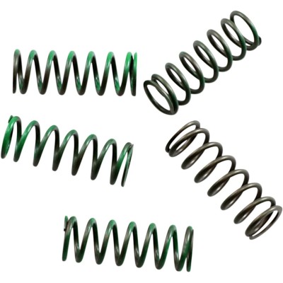 Set de arcuri de ambreiaj hi-temp 5-set SUZUKI/ KAWASAKI HINSON RACING CS357-5-0109