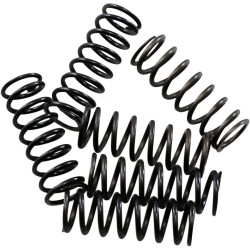 Set arcuri de ambreiaj hi-temp 6-set HONDA HINSON RACING CS189-6-0613 Set arcuri de ambreiaj hi-temp 6-set HONDA HINSON RACING CS189-6-0613