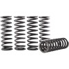 Set de arcuri ambreiaj HONDA HINSON RACING CS189-5-0613