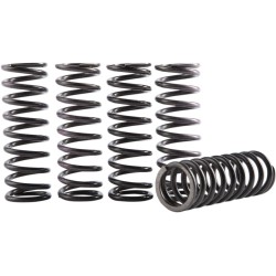 Set de arcuri ambreiaj HONDA HINSON RACING CS189-5-0613 Set de arcuri ambreiaj HONDA HINSON RACING CS189-5-0613
