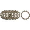 Plăci fiber CRF250R/RX HINSON RACING FP094-9-001
