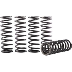 Set arcuri ambreiaj hi temp YZ/WR 250 HINSON RACING CS641-6-1901 Set arcuri ambreiaj hi temp YZ/WR 250 HINSON RACING CS641-6-1901