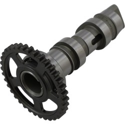 Arbore cu came single stage 1 VERTEX 1039-1 Arbore cu came single stage 1 VERTEX 1039-1