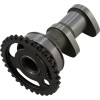 Arbore cu came admisie etapa 1 VERTEX 2218-1IN