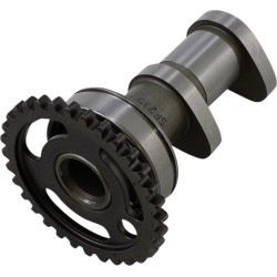 Arbore cu came admisie etapa 1 VERTEX 2218-1IN Arbore cu came admisie etapa 1 VERTEX 2218-1IN