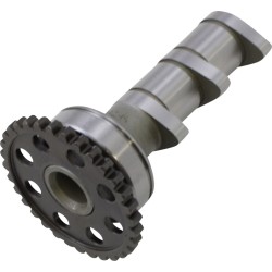 Arbore cu came de admisie etapa 1 VERTEX 4286-1IN Arbore cu came de admisie etapa 1 VERTEX 4286-1IN
