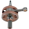 Arbore cotit ALTE 4095