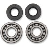 Set rulmenți și garnituri HOT RODS pentru KAWASAKI ALTELE K004