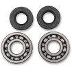 Set rulmenți și garnituri HOT RODS pentru KAWASAKI ALTELE K004 Set rulmenți și garnituri HOT RODS pentru KAWASAKI ALTELE K004 thumb