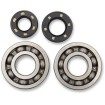 Set rulmenți și garnituri HOT RODS pentru KAWASAKI ALTELE K005 Set rulmenți și garnituri HOT RODS pentru KAWASAKI ALTELE K005 thumb