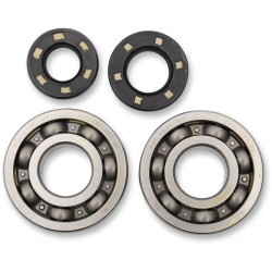 Set rulmenți și garnituri HOT RODS pentru KAWASAKI ALTELE K005 Set rulmenți și garnituri HOT RODS pentru KAWASAKI ALTELE K005