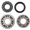 Set rulmenți și garnituri HOT RODS pentru YAMAHA ALTE K008 Set rulmenți și garnituri HOT RODS pentru YAMAHA ALTE K008 thumb