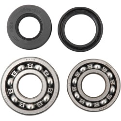 Set rulmenți și garnituri HOT RODS pentru YAMAHA ALTE K008 Set rulmenți și garnituri HOT RODS pentru YAMAHA ALTE K008