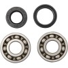 Set rulmenți și garnituri HOT RODS pentru YAMAHA ALTE K009