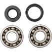 Set rulmenți și garnituri HOT RODS pentru YAMAHA ALTE K009 thumb