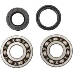 Set rulmenți și garnituri HOT RODS pentru YAMAHA ALTE K009 Set rulmenți și garnituri HOT RODS pentru YAMAHA ALTE K009