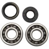 Set rulmenți și garnituri HOT RODS pentru YAMAHA ALTELE K010