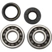 Set rulmenți și garnituri HOT RODS pentru YAMAHA ALTELE K010 Set rulmenți și garnituri HOT RODS pentru YAMAHA ALTELE K010 thumb