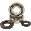 Set rulmenți și garnituri HOT RODS pentru YAMAHA ALTE K012 Set rulmenți și garnituri HOT RODS pentru YAMAHA ALTE K012 thumb
