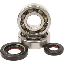 Set rulmenți și garnituri HOT RODS pentru YAMAHA ALTE K012 Set rulmenți și garnituri HOT RODS pentru YAMAHA ALTE K012