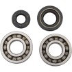 Set rulmenți și garnituri HOT RODS pentru YAMAHA ALTE K012 Set rulmenți și garnituri HOT RODS pentru YAMAHA ALTE K012 thumb