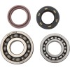 Set rulmenți și garnituri HOT RODS pentru YAMAHA ALTELE K017