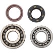 Set rulmenți și garnituri HOT RODS pentru YAMAHA ALTELE K017 Set rulmenți și garnituri HOT RODS pentru YAMAHA ALTELE K017 thumb
