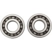 Set rulmenți și etanșări HOT RODS pentru YAMAHA ALTE K239 thumb
