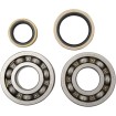 Set rulmenți și garnituri HOT RODS SUZUKI ALTE K229 Set rulmenți și garnituri HOT RODS SUZUKI ALTE K229 thumb