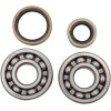Set rulmenți și garnituri HOT RODS SUZUKI ALTE K233