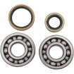 Set rulmenți și garnituri HOT RODS SUZUKI ALTE K233 Set rulmenți și garnituri HOT RODS SUZUKI ALTE K233 thumb