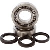 Set rulmenți și garnituri HOT RODS pentru HONDA ALTE K046