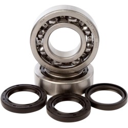 Set rulmenți și garnituri HOT RODS pentru HONDA ALTE K046 Set rulmenți și garnituri HOT RODS pentru HONDA ALTE K046